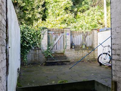 Picture 26